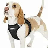 rabbitgoo Hundegeschirr Kleine Hunde, Step-in Welpengeschirr Weich Mesh für Spaziergänge, Atmungsaktives und Reflektierendes Brustgeschirr für Kleine und Mittelgroße Hunde, Schwarz, M