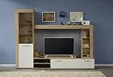 trendteam smart living - Logo - Wohnwand - Braun - Anbauwand mit 1 Tür, 1 Klappe und 6 offenen Fächern - (BxHxT) 240 x 185 x 41 cm - Silber-mattfarbene Griffe