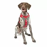 Kurgo Journey Air – Reflektierendes Hundegeschirr für Running, Wandern und Trekking – Reise-Geschirr – Rot, M