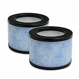 PUREBURG Ersatzfilter kompatibel mit OMISOON JH01,CONOPU OJH001 Luftreiniger JH01-LX, JH01, DH-JH01, 2er-Pack H13 HEPA
