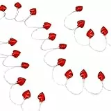 LED-Lichterkette in Herzform, 1,8 m, 40 warmweiße Glühbirnen mit Rosen-Fotoclips, batteriebetriebene Dekoration für Valentinstag und Feiern