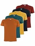 ALPIDEX Herren T-Shirts 5er Set Rundhals 100% Baumwolle Einfarbig Shirts Basic Shirt Kurzarm S M L XL XXL 3XL 4XL 5XL, Größe:L, Farbe:Desert