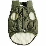 JoyDaog Fleece Hundejacke für Winter kaltes Wetter, Extra Weicher Hundemantel für Kleine Hunde, Winddichte Welpen Weste, Grün XS