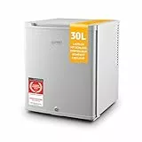 TZS First Austria - Mini Kühlschrank 30L komplett lautlos - Kleiner Minikühlschrank, wechselbarer Türanschlag & Innenbeleuchtung - Minibar für Camping, Büro, Schlafzimmer & Hotel - Grau