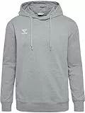 hummel GO 2.0 Hoody grau, L Unisex