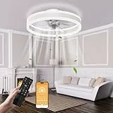 Nalezuns Deckenleuchte mit Ventilator, Deckenventilator mit Beleuchtung,3 Farbtemperatur, 6 Geschwindigkeiten Deckenventilator mit Lampe,Fernbedienung Leise Dimmbar Ventilator Deckenlampe,40cm