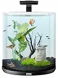 Tetra Explorer Line 60 L Aquarium Komplett-Set - Design Aquarium mit gebogener Frontscheibe, LED-Beleuchtung, Technik, Futter und Pflegemitteln, Farbe: Schwarz