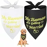 SZEE 2 Stück Hundehalstuch Hochzeit Hunde Kostüm Bandana,My Humans Are Getting Married, Dog Bandana Hochzeit Deko Halstuch,Leichtes Halstuch Waschbarer Hundegeschenk, Schwarz+Weiß+Golden, XL