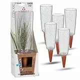 Scheurich Copa XXL Bewässerung Wasserspender Bewässerungskugel grün transparent (5, Transparent)
