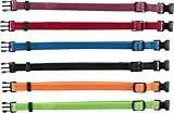 TRIXIE Junior Welpenhalsband Größe S–M: Halsumfang 17–25 cm/10 mm in schwarz, rot, royalblau - kleines Hundehalsband für kleine bis mittelgroße Hunde, 6er Set zur Gewöhnung, 15551