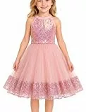 JiAmy Mädchen Prinzessin Kleid Ärmellos Glitzer Tüllkleid Festliches Ballkleid Partykleid für Tanz Geburtstag Hochzeit 5-6 Jahre, Rosa