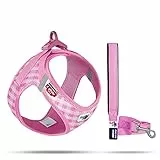 Vest Harness curli Clasp Air-Mesh Pink-Caro S & Leash M
