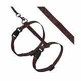 Karlie Art Sportiv Plus Geschirr mit Leine braun, 110 cm