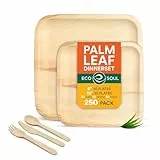 ECO SOUL 100% kompostierbares Palmblatt-Geschirrset – Quadratische Teller 10″ & 6″ (je 50 Stück) inkl. Gabel, Messer & Löffel (je 50 Stück), nachhaltig & umweltfreundlich