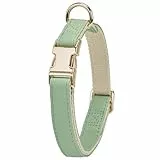 YUDOTE Hundehalsband aus Weichem Leder mit Sicherheits-Schnellverschluss-Metallschnalle, Natürliche Baumwolle, Gepolstertes Kunstlederhalsband für Mittel Hunde mit Empfindlicher Haut, Salbeigrün