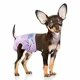 Flying Paws Hunde Windeln Weiblich, XS-40 Stück Super Saugfähig Hundewindeln für Hündinnen, mit Nässeindikator Einwegwindeln für Inkontinenz, Läufigkeit