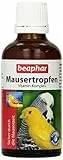 BEAPHAR - Mausertropfen Vitamin-Komplex - Nahrungsergänzungsmittel Für Vögel - Mit Vitamin A, C, D3, E, K, B-Komplex - Unterstützt Natürliche Abwehrkräfte, Fördert Sprech- Und Sangesfreude - 50 ml