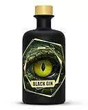ginsome. Black Gin (Special Edition/Green) | Fruchtig & Mystisch im Geschmack | Hochwertiger Schwarzer Gin aus Deutschland | 42% Vol. (1 x 0.5 l)