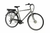 F.lli Schiano E-Moon, E Bike für die Stadt 28 Zoll, 36V 13Ah Abnehmbarer Akku, Motor 250W 40Nm, City Ebike für Herren, Grau