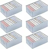 hinrey Kleiderschrank Organizer 6 Stück für Hosen Hemden Unterwäsche, Schrank Organizer Schubladen Ordnungssystem Schrank Organizer Schubladen Organizer