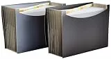 Amazon Basics Dokumentenmappe A4, Fächermappe, grau, Schwarz, 2er-Pack