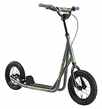 BLUE GORILLAZ Roller Kinderroller Tretroller Kickscooter für Jungen, Mädchen ab 6-7 Jahre | 12 Zoll Scooter mit Luftreifen | Grau