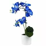 Olrla Blaue Orchideen-Kunstblumen im weißen Topf, gefälschte echte Orchideenblumen Dekoration für Küche Badezimmer Büro Hochzeit (königsblau 2)