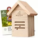 wildtier liebe Marienkäfer-Hotel, Marienkäferhaus - Wetterfest & Unbehandelt aus Massiv-Holz I Insektenhotel für Marienkäfer zum Aufhängen I Nistkasten, Marienkäferunterkunft für Garten, Balkon