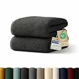 Blumtal Premium Frottier Handtücher Set 2 teilig 100% Baumwolle - Oeko-TEX zertifiziertes Towel 2X (50x100 cm) - Ultra saugstarkes Frottier Handtücher Set waschbar °60 - Handtücher Anthrazit
