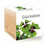 Feel Green 296275 Ecocube Glücksklee, Nachhaltige Geschenkidee (100% Eco Friendly), Grow Your Own/Anzuchtset, Pflanzen Im Holzwürfel, Made in Austria, natural