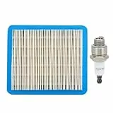 Savior Luftfilter für Briggs & Stratton 491588 491588S BS-399959 5043K 30-710 1904481 Geeignet für Quantum Motor 625-675 625e 675e 725e Serien 3,5-6 PS mit Zündkerze Ersatz für Champion RJ19LM