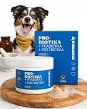 mammaly Probiotika Pulver für Hunde - Prä-, Pro- & Postbiotika - Inulin 12%, Flohsamenschalen 16% & Yang Hefe 16% - Darmflora & Verdauung - Hochdosierter Darmkomplex - 90g reichen bis zu 72 Tage
