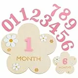1 Set Meilensteinkarten Baby,DIY Blumen Meilensteinkarten Baby Holz,Austauschbare Figur Babys Monatskarten (1-12 Monate,Rosa)
