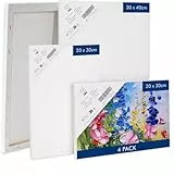 H&S 4x Leinwand zum Bemalen - 2 große (30x40cm) + 2 kleine Leinwände (20x30cm) - Keilrahmen Canvas zum Bemalen - Ideal für Acrylfarben Canvas Painting