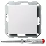 ag-electronics Spannungsprüfer 120-250V® + GIRA Blindabdeckung 026803 + Tragring System 55 Reinweiß glänzend