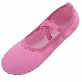 ZDQ Ballettschuhe Mädchen Gymnastikschuhe Damen Ballerina Schuhe Ballettschläppchen Kinder Tanzschuhe Ballett Schläppchen Leder Turnschläppchen Frauen Rosa 34