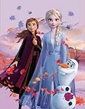 Disney Frozen 2 Kinder-Zimmer-Teppich Dreamteam 100 cm x 133 cm rutschhemmend lärmhemmend Kinderteppich Spiel-Teppich Spielunterlage Mädchen-Teppich Anna Elsa Olaf Sven Kristoff Arendelle Nokk