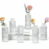 Sawoake Kleine Vasen, 6 Stück Glasvasen für Tischdeko Mini Vasen Glasfläschchen für Zuhause, Hochzeiten, Geburtstage, Feste (Transparent Vertical)