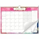 AEYAKA Wandkalender 2025 Kalender A3 Planer 30 cm x 43 cm Deutsch mit Ferienübersicht, D
