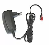 DSK - Automatik-Ladegerät für Blei-Säure-Akku, 12V, 350mAh
