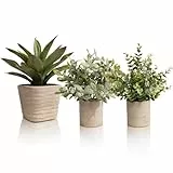 YVONNEYI 3 Stück Künstliche Pflanzen, Kunstpflanze Agave für Zimmer Deko, Kunstpflanze Eukalyptus für Wohnzimmer Badezimmer Schlafzimmer Küche Tisch Büro Deko