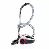 Dirt Devil Staubsauger mit Beutel DD2001 - Staubsaugerbeutel 2.0L - Bodenstaubsauger 800W - mit Kombibürste und Fugendüse - 7.5M Reichweite - Bodenstaubsauger mit beutel 3.3KG - HEPA 10 Filter - Grau