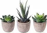 OUNONA 3er Set Klein Kunstpflanze Sukkulenten Künstlich Dekorative Kunstpflanzen wie Pflanzen mit Topf, Künstliche Pflanzen mit Topf Kunstpflanze klein für Tisch Balkon Büro Deko