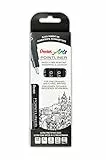 Pentel Pointliner S20P-5, 5er Set Fineliner, schwarz, wasserfest und lichtecht, 0,05 - 0,8 mm