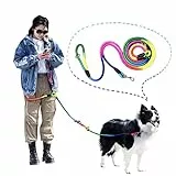 JOPOY Freihändige Hundeleine (4 m) – Starke Hundetrainingsleine, 1,3 cm Dicke Nylon-Doppelleine für kleine, mittelgroße und große Hunde, Service, Spazierengehen, Laufen (Regenbogen)