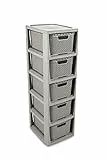 BranQ - Home essential Regal in Rattan Design, BPA-freie Kunststoff PP, Hellgrau, 29,5 x 24 x 80 cm, 5 Körben