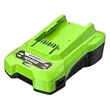 Ladegerät GREENWORKS 40V - G40C