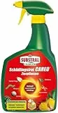 Substral Schädlingsfrei Careo Zierpflanzen, gegen Schädlinge wie Blattlaus, Schildlaus, Wolllaus, Raupen, 800 ml, Grün