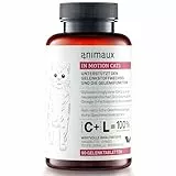 animaux Gelenktabletten für Katzen – Für Knochen, Gelenke & Knorpel – Mit Teufelskralle, Ginkgo & Hagebutte – 90 Stück Motion