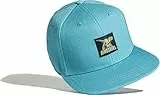 Baddery Cap Dinosaurier Jungen : Dino T-Rex (Patch) - Kinder Kappe Jungs Mütze Kostüm (Türkis)
